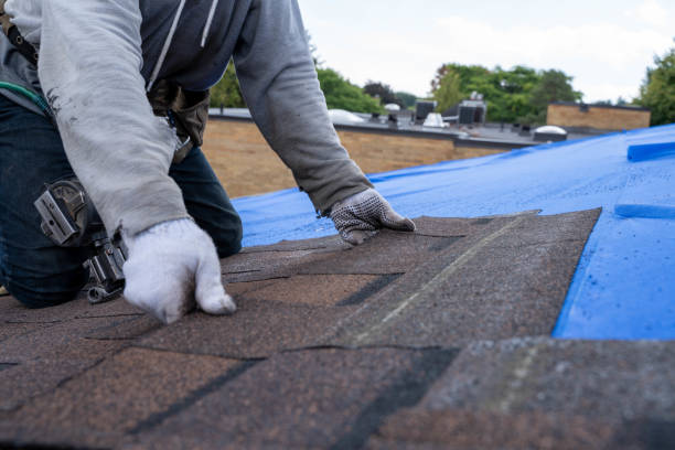 Best Residential Roofing Contractor  in Rosedale, MS